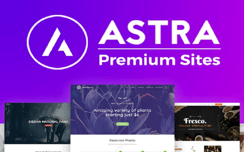 Astra Premium Starter Templates miễn phí có key mới nhất