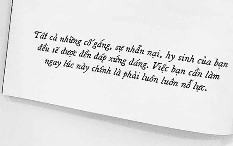 Đừng lo lắng những nỗ lực của bạn tại thời điểm này không được đền đáp