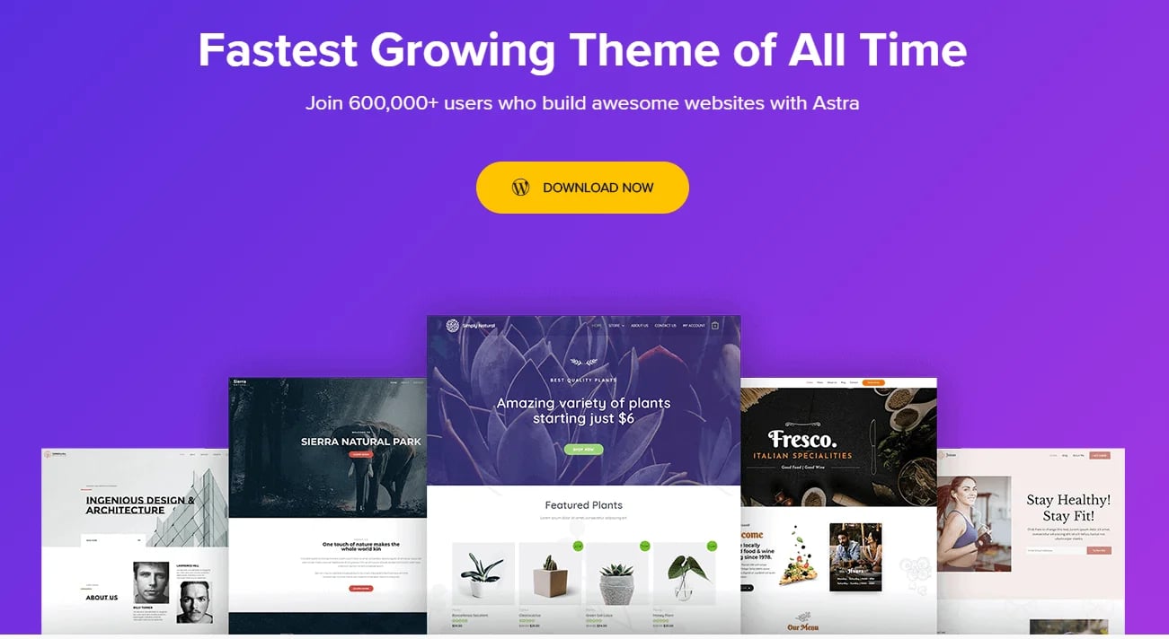astra pro addon, kích hoạt bản quyền theme astra