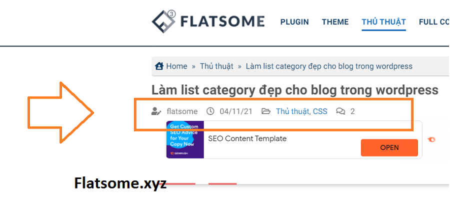 Hiển thị thông tin bài đăng blog wordpress trong theme flatsome