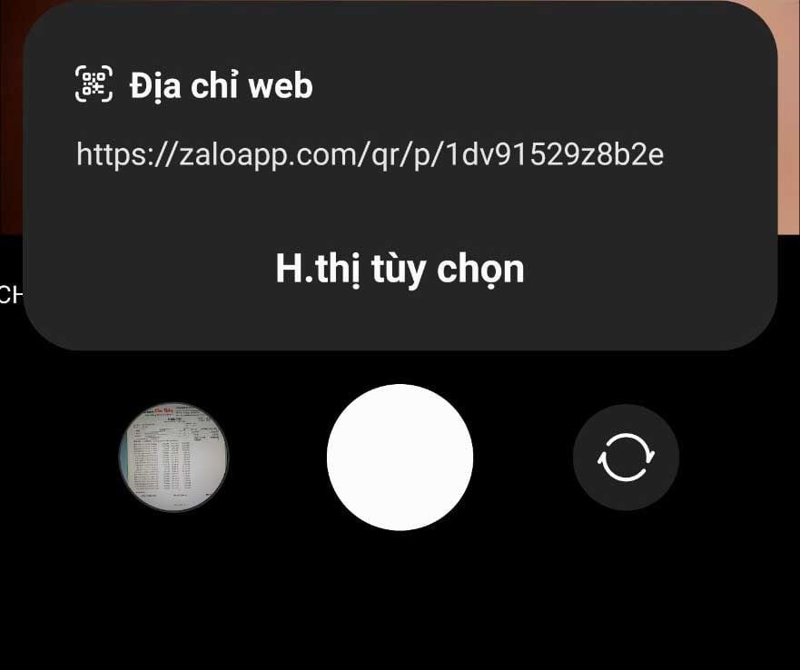 huong dan cach fix loi zalo tren website