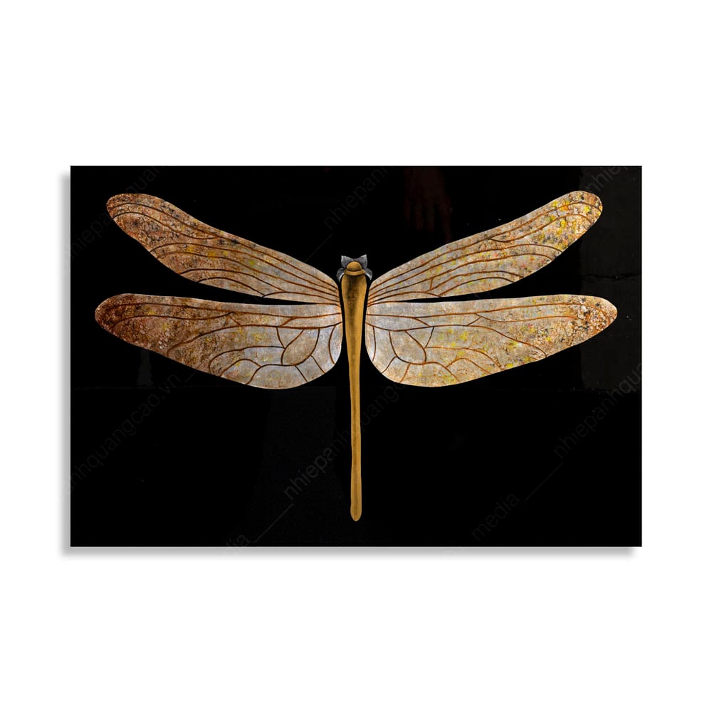 CHỤP ẢNH SẢN PHẨM NỀN TRẮNG