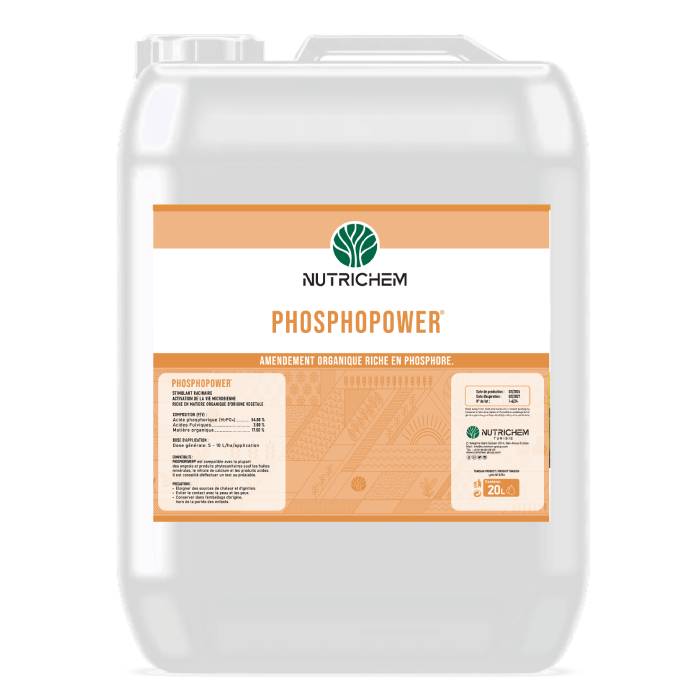 PHOSPHOPOWER - Image 3