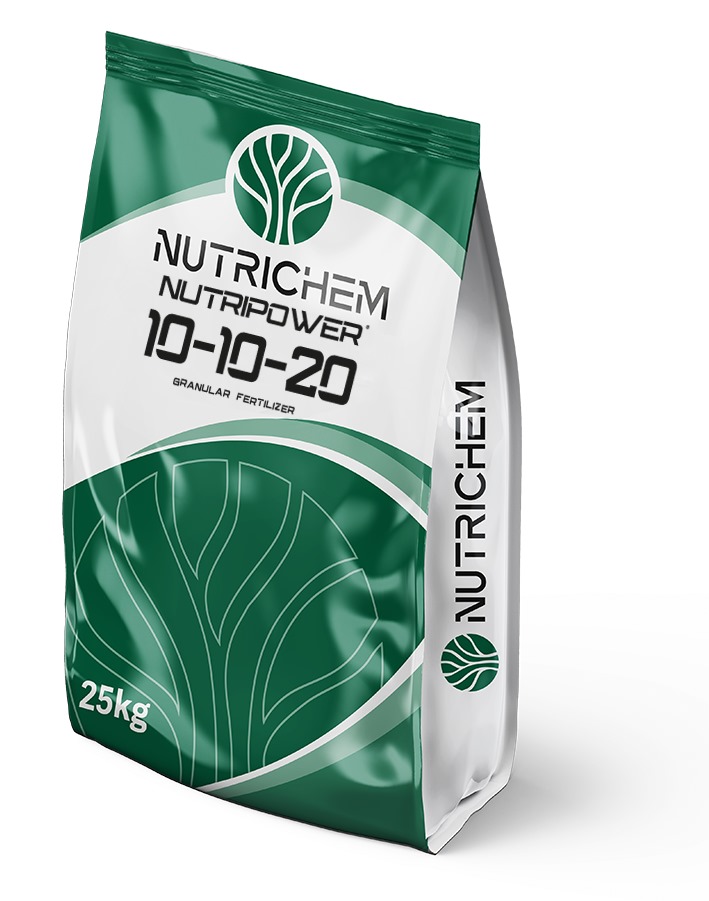 NUTRIPOWER 10-10-20