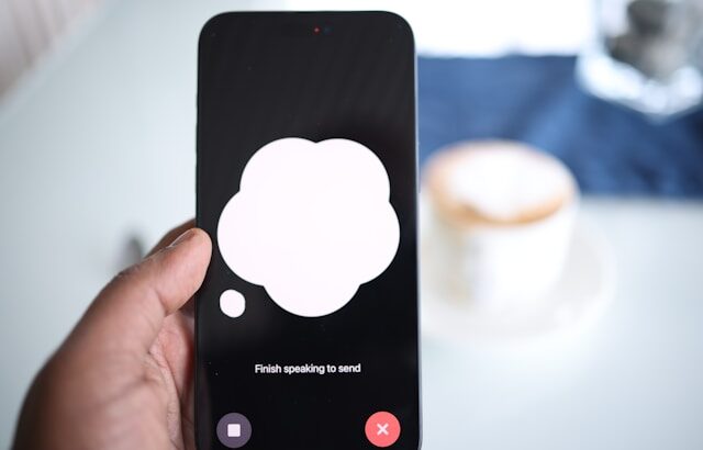 solen-feyissa-gHugF-qvjUE-unsplash img-6