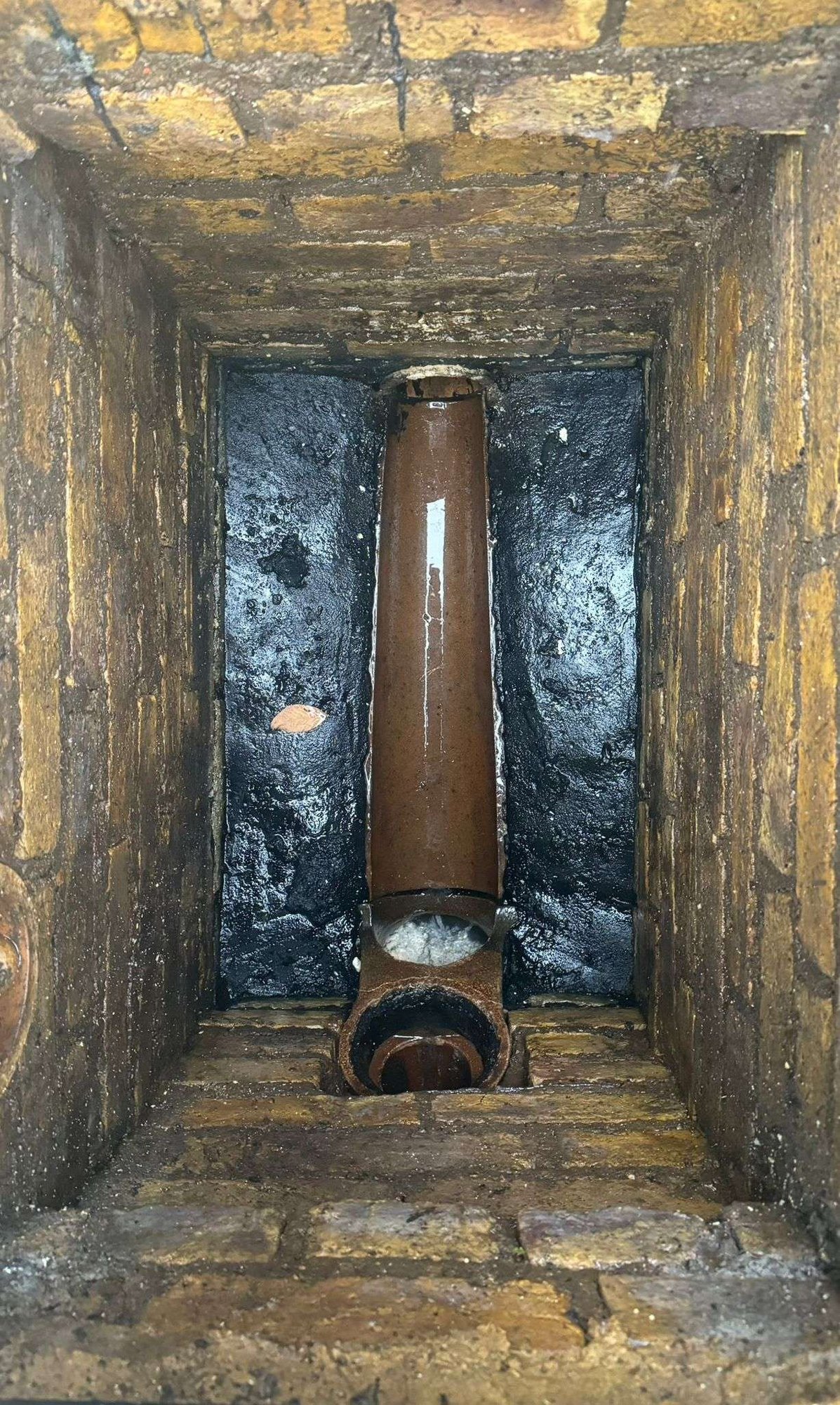 Buchan Trap solutions with Drains24