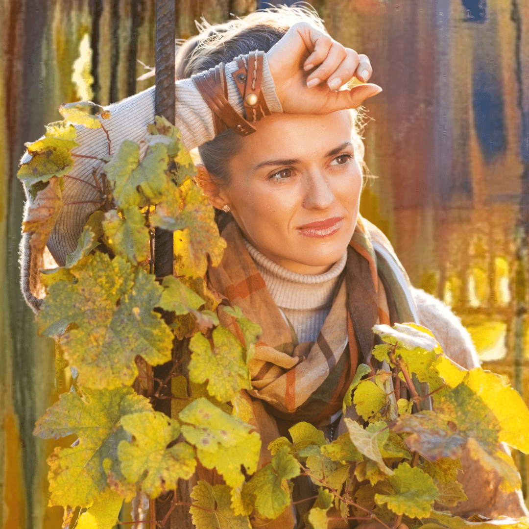 Wondering vineyard img-11