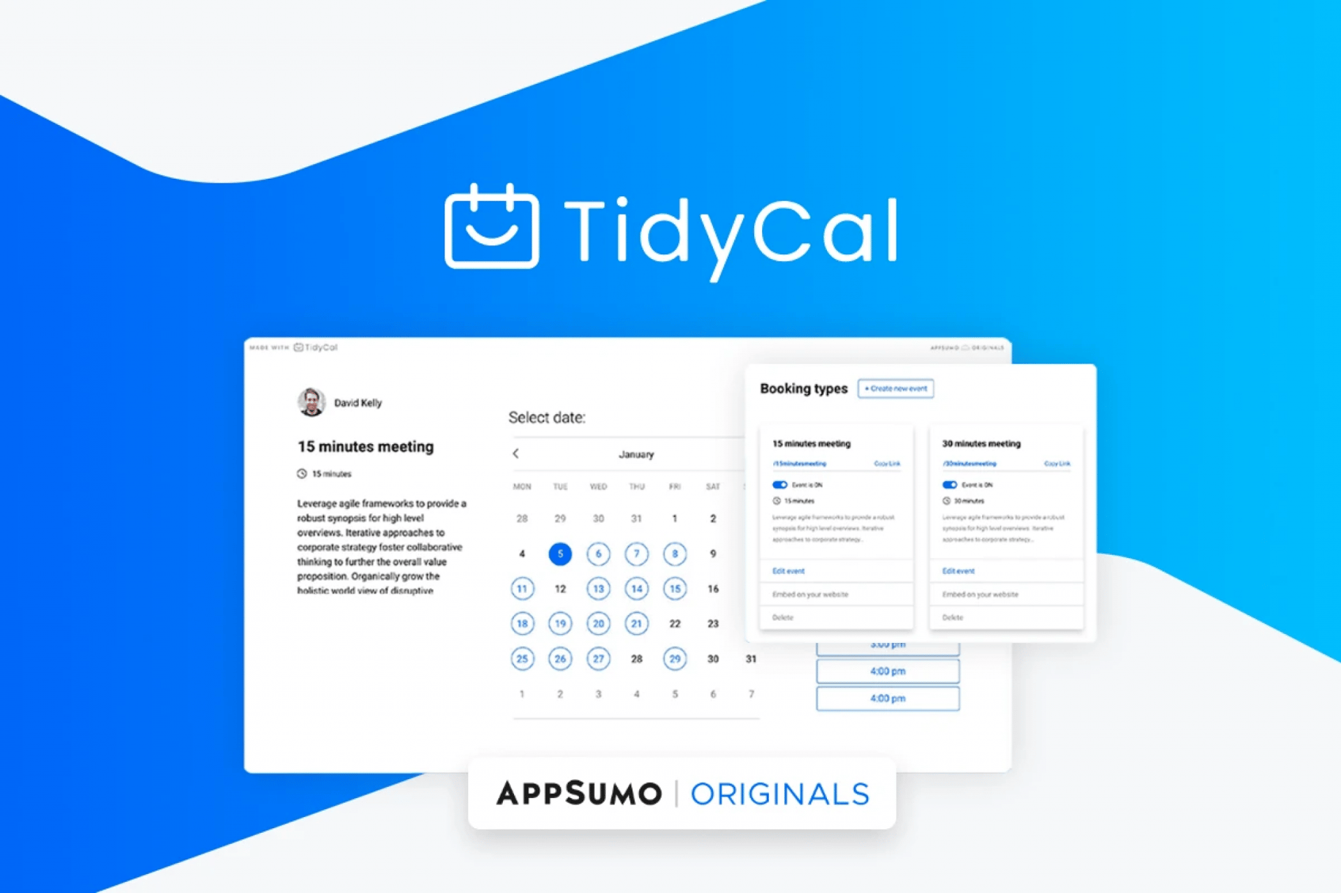 Tidycal lifetime deal black friday