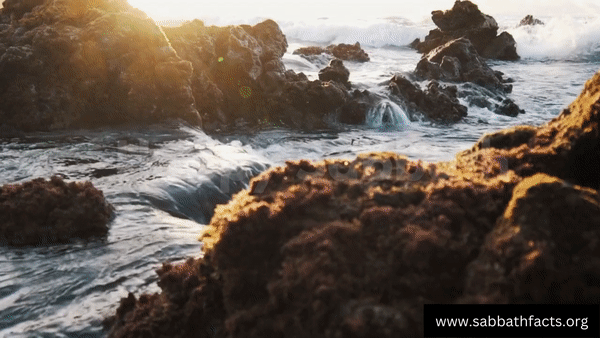 happy sabbath day gif