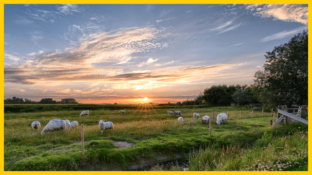 rules for Sabbath day