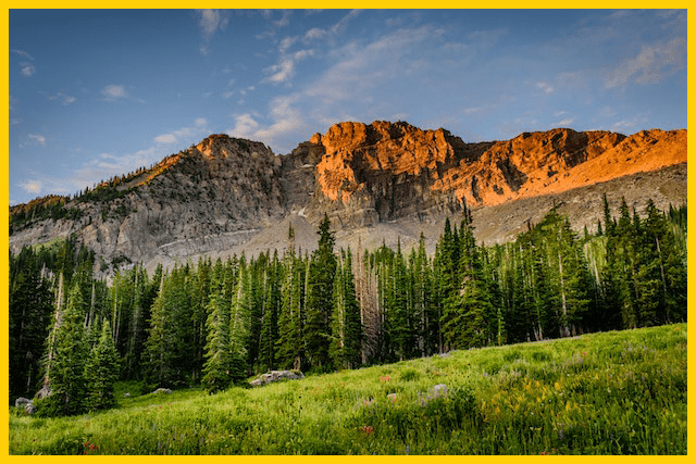 what are the rules of the sabbath day