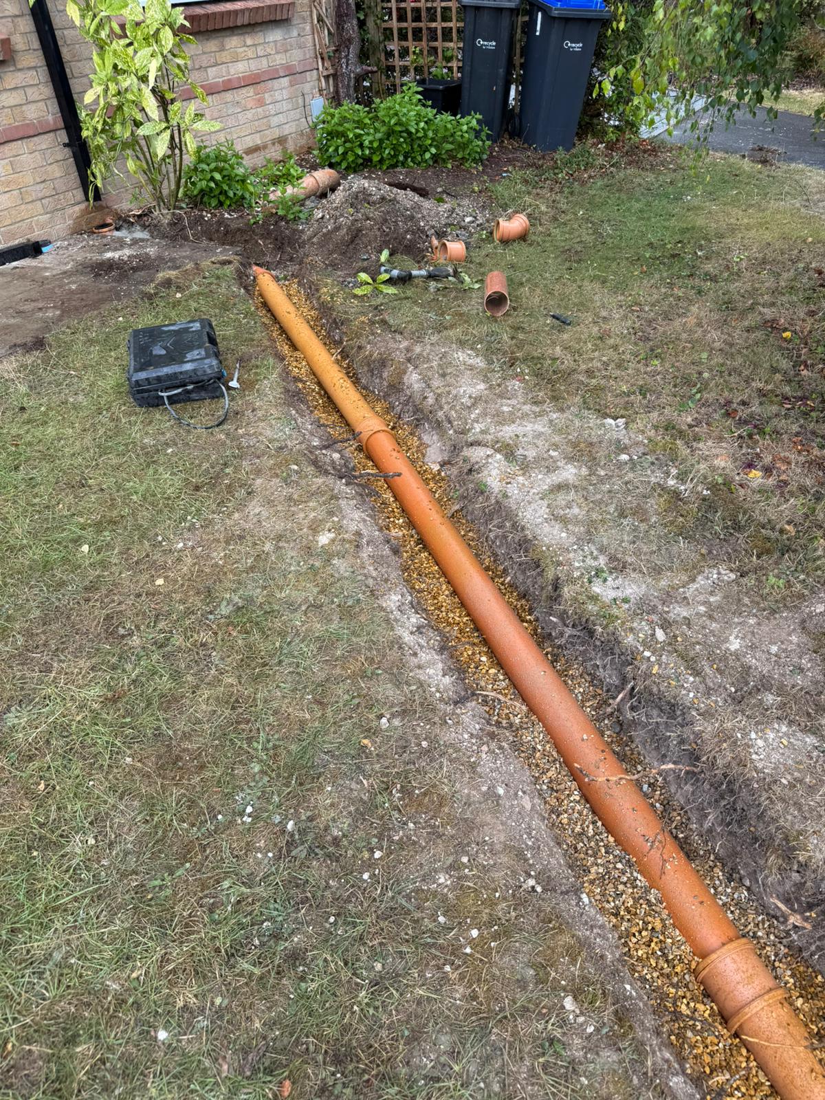 WhatsApp Image at eabed