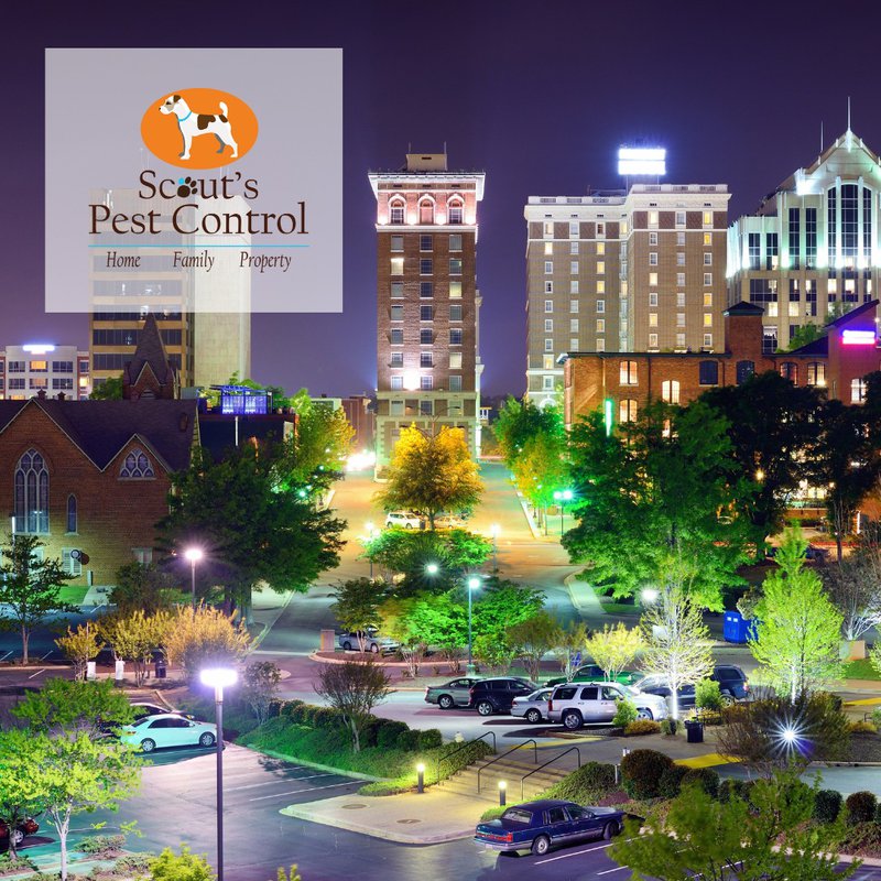 A SOUTHERN CHRISTMAS 5 a southern christmas