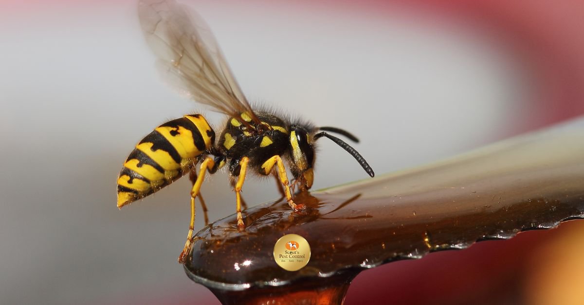 Stinging Pests in South Carolina - Winning The Battle! 42 stinging pests in south carolina - winning the battle! cover