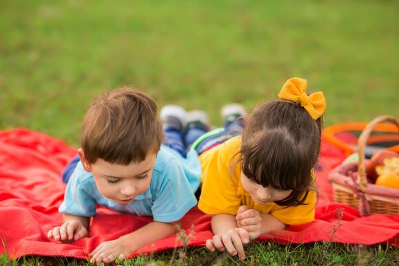 Invading Fire Ants and Fire Ants Facts and 8 Busted Myths 2 two children on a picnic. a boy in a blue t-shirt and a girl in yellow lie on a red plaid and examine fire ants and insects in the grass.
