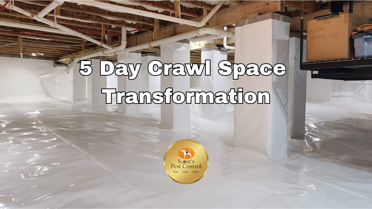 5 Day Crawl Space Video Makeover 1 crawl space transformation video