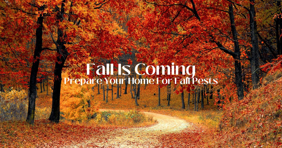 Fall Pests in South Carolina: Your Guide to a Pest-Free Home 35 fall pests in south carolina: your guide to a pest-free home cover