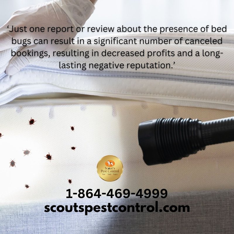 Tiny Pests, Big Problems: The Economic Impact of Bed Bug Infestations 2 bed bug infestations in hotels