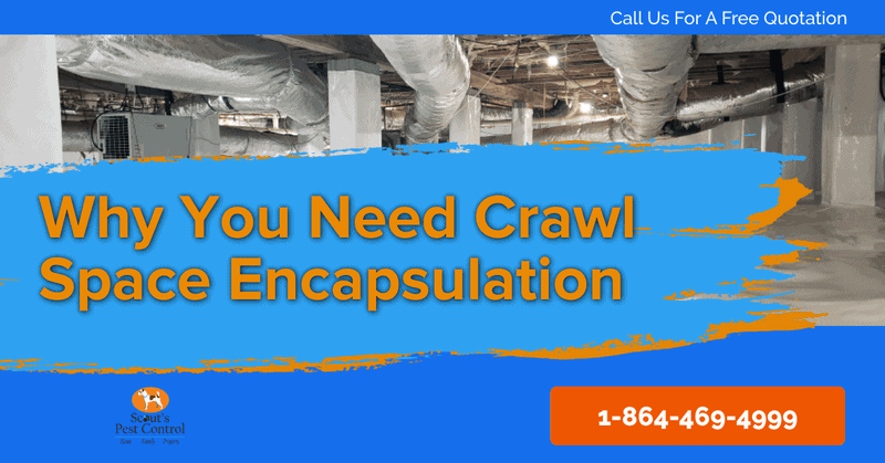 Three Reasons You May Need Crawl Space Ecapsulation with a Vapor Barrier 1 crawl space encapsulation - crawl space vapor barrier