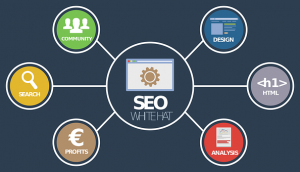 a diagram of a website