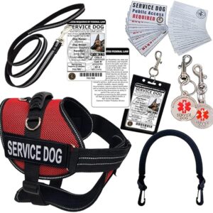 ActiveDogs Service Dog Air-Tech Mesh Service Dog Vest Harness Kit, Size Medium Red