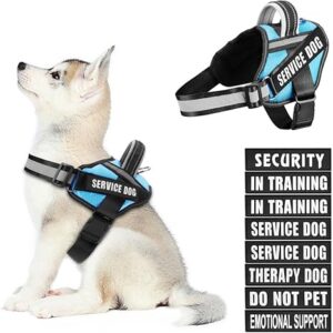 Dog Vest Harness and Patches Set, Animire in Training Service Dog Harness with 8 Dog Patches