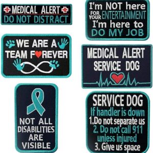 Service Dog Medical Not All Disabilities are Visible Alert Vest/Harnesses Patch