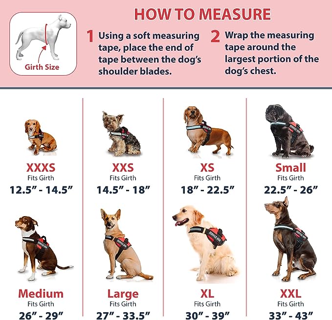 Industrial Puppy Service Dog Vest for Large Dogs - Image 4