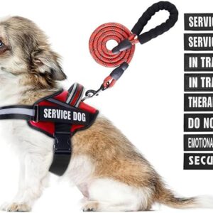Service Dog Vest Harness and Leash Set,