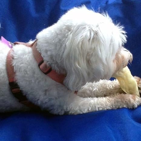 Pawstruck Natural Lamb Ears Chew Treats for Small & Medium Dogs - Image 4