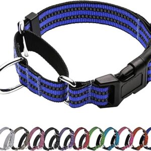 JOYEEIIOO Martingale Dog Collar, Adjustable Nylon Reflective Collar