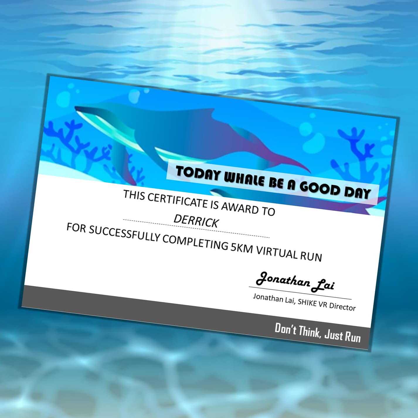 Blue Whale Virtual Run - Image 4