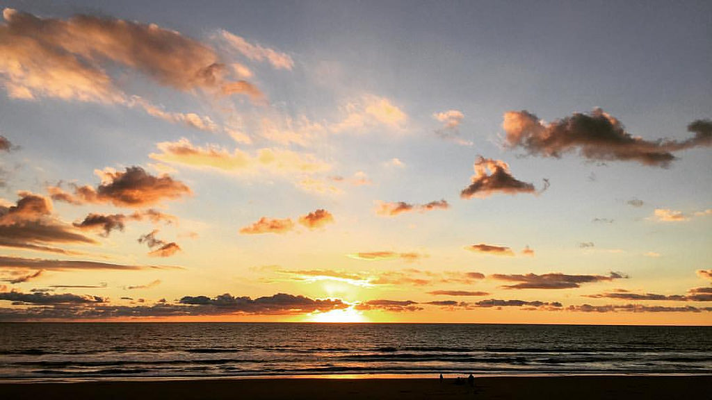 עוקבים באינסטגרם