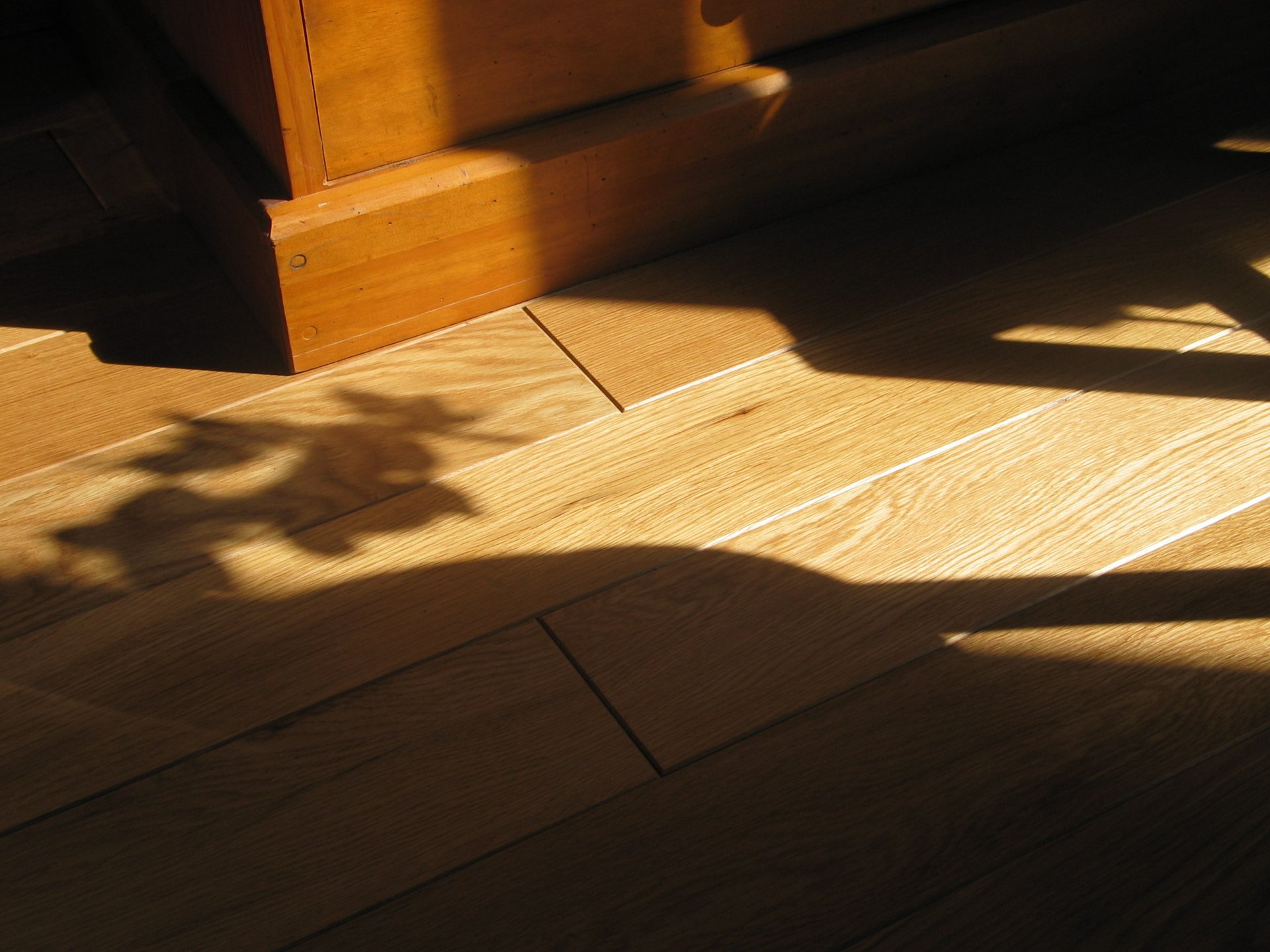 מדוע הפכו הפרקטים לכה פופולאריים