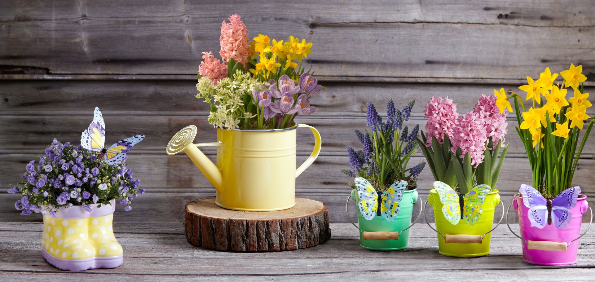 כדים דקורטיביים