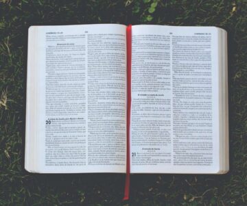 pexels-ninosouza-716643 img-7