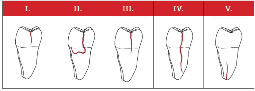 5ca73f851e1d2208516704