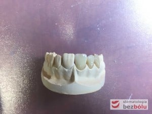 autor pracy: Olga Gałązka