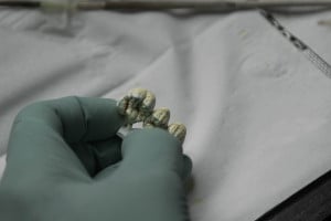 Synteryzacja pracy protetycznej Synteryzacja pracy protetycznej