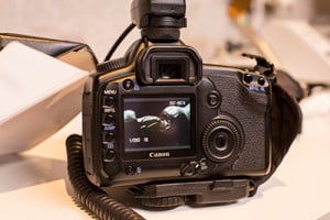 Efekty tej części kursu w postaci niesamowitych zdjęć zaskoczyły pozytywnie wszystkich uczestników Efekty tej części kursu w postaci niesamowitych zdjęć zaskoczyły pozytywnie wszystkich uczestników