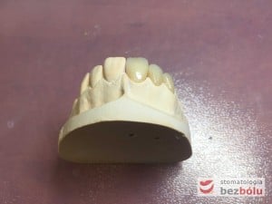 autor pracy: Olga Gałązka