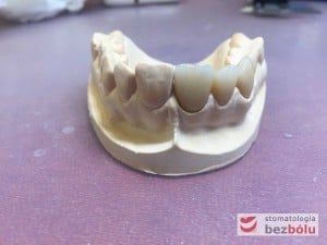 autor pracy: Olga Gałązka