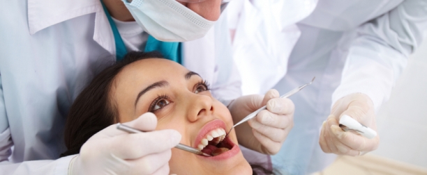 Program dla lekarzy stażystów