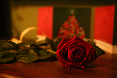 Życzenia dla Ewy Ziemby-Popławskiej