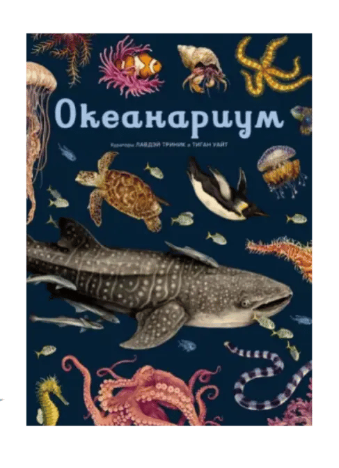 Океанариум.