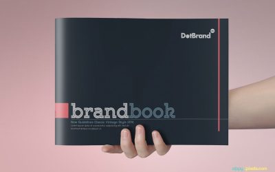 Cât costă un brand book serios în Chișinău și ce primiți efectiv