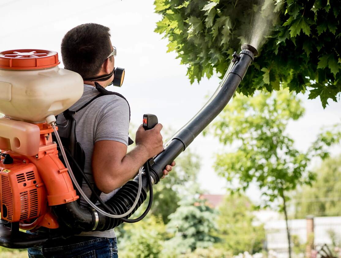 tree-insect-and-disease-control-peoria-il.jpg tree-insect-and-disease-control-peoria-il.jpg