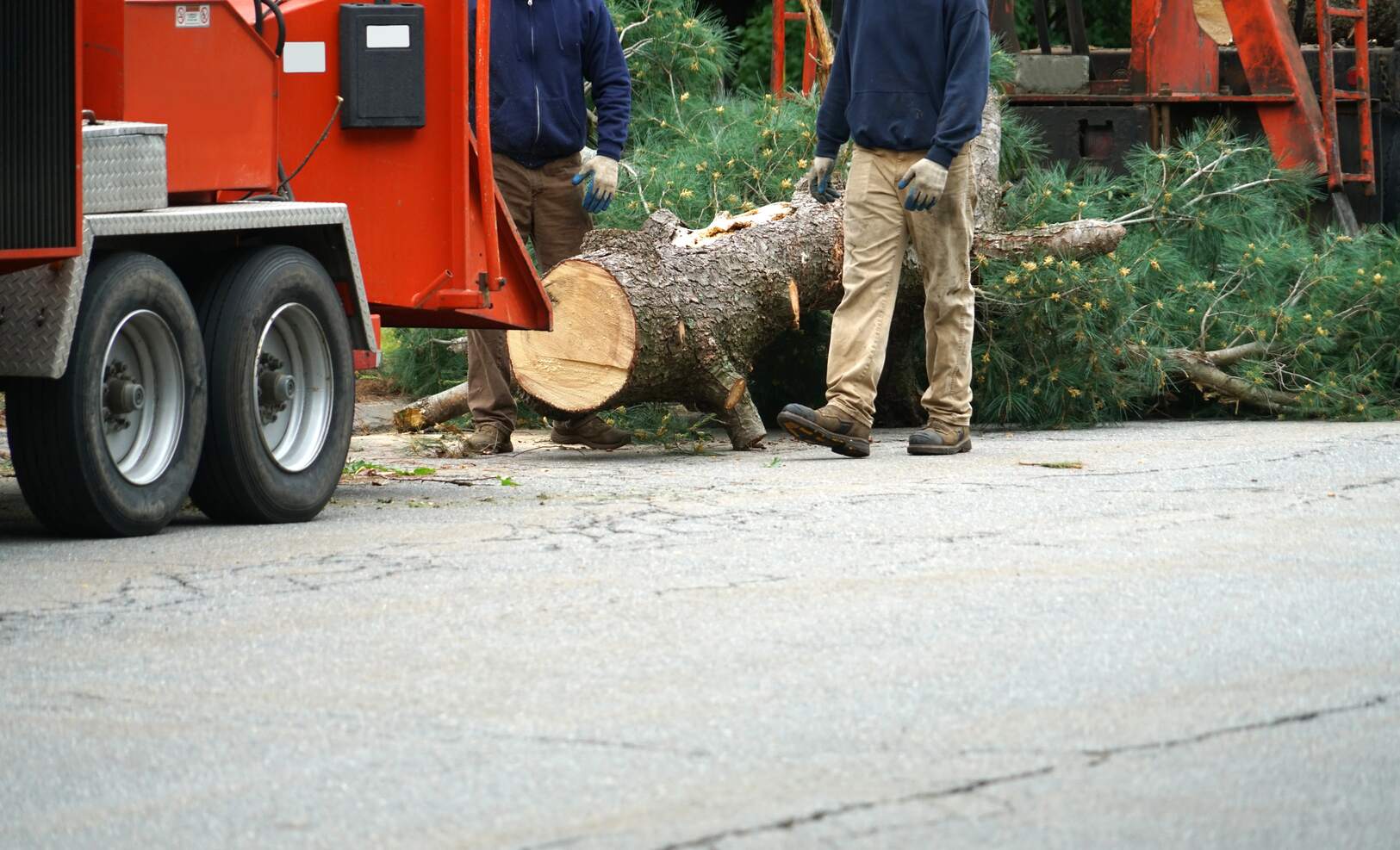 tree removal in peoria il