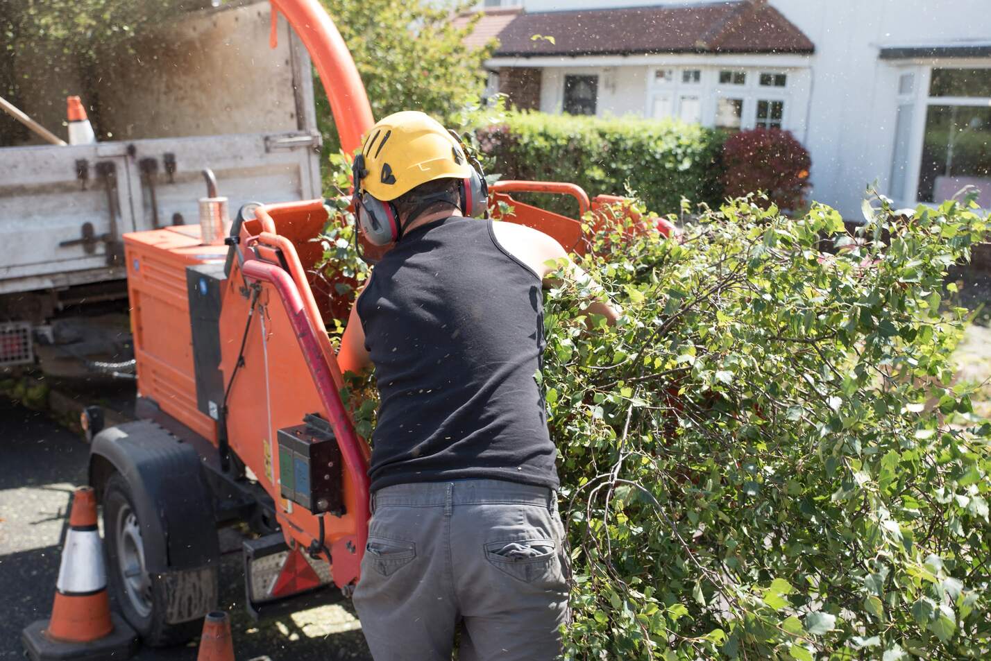shrub-removal-peoria-il.jpg shrub-removal-peoria-il.jpg