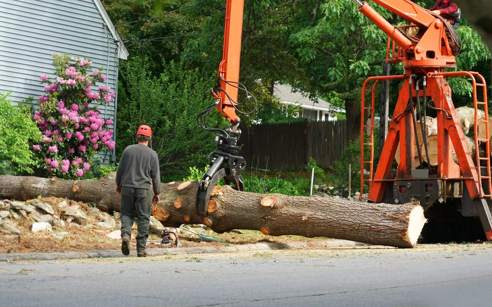 tree service peoria illinois